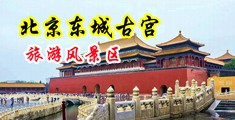 大鸡巴猛操大骚逼视频中国北京-东城古宫旅游风景区
